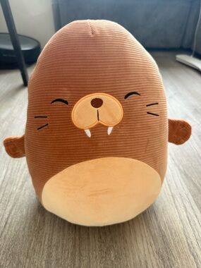 Squishmallows Bruce Walrus Plush Corduroy Soft Toy w/ Tag”